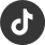 tiktok icon